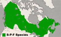 Map of Canada showing that these species grow in all regions.