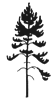 Jack Pine icon