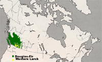 Map of Canada highlighting region of southern BC and Alberta where Douglas Firs and Western Larchs Grow