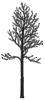 Balsam Poplar icon