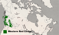 Map of Canada highlighting BC and Alberta as regions where Western red Cedar grows.